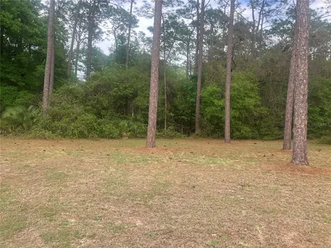 SE 19th Place SE 19th Place Silver Springs FL 34488