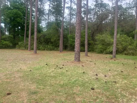 SE 19th Place SE 19th Place Silver Springs FL 34488