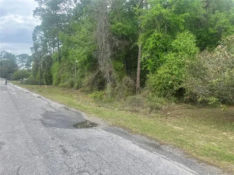 SE 19th Place SE 19th Place Silver Springs FL 34488