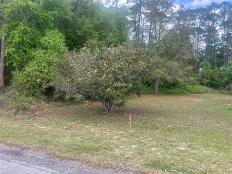SE 19th Place SE 19th Place Silver Springs FL 34488
