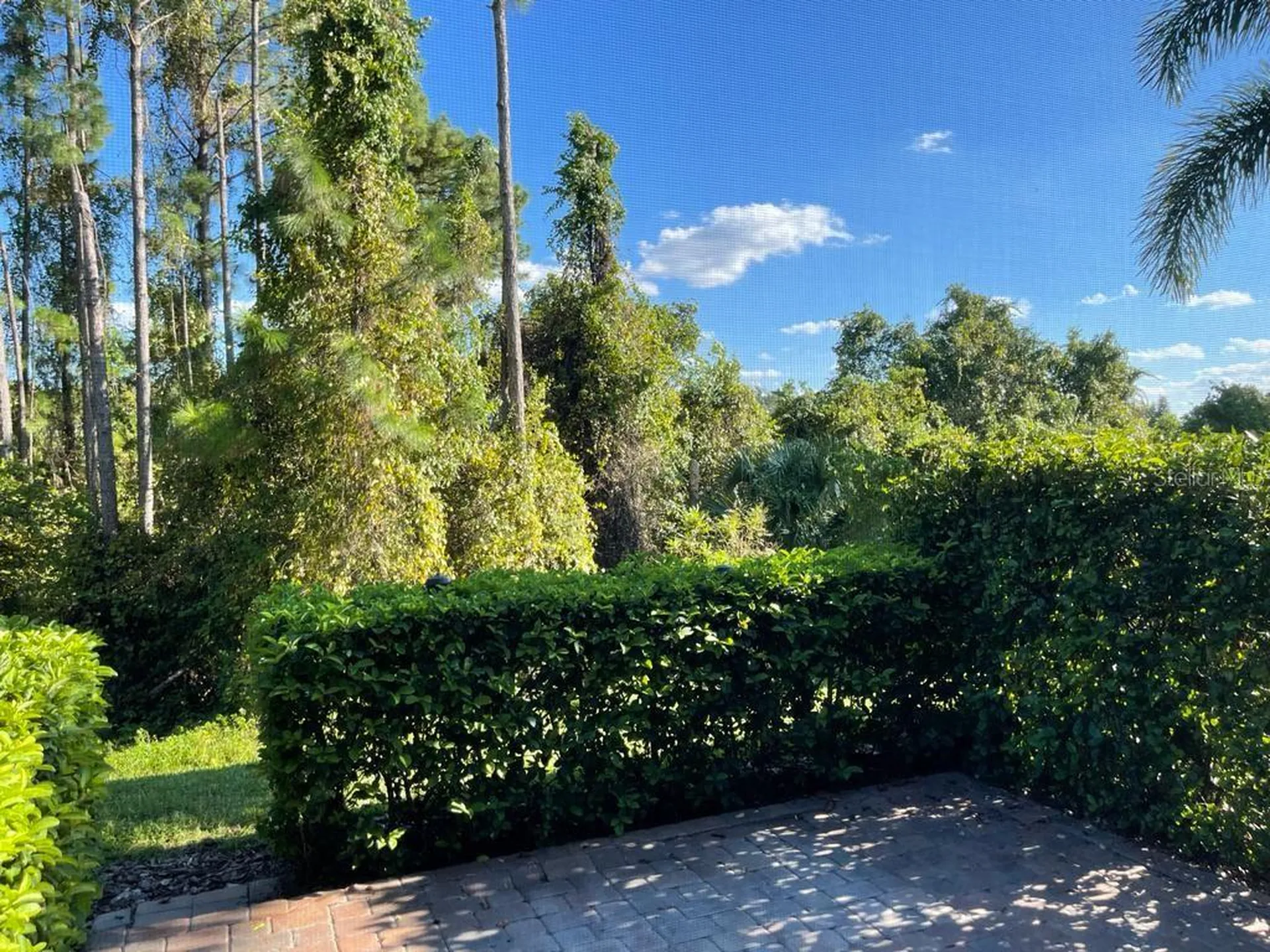 3153 Capri Isle Way Orlando FL 32835