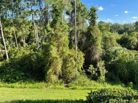 3153 Capri Isle Way Orlando FL 32835