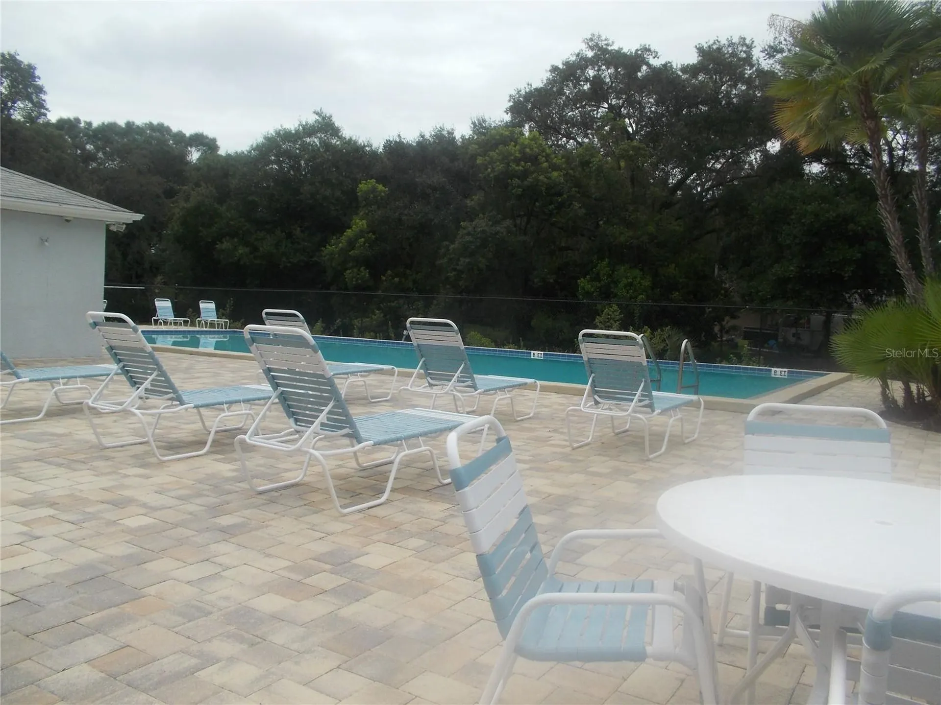 4122 Waterside Island Court Tampa FL 33617
