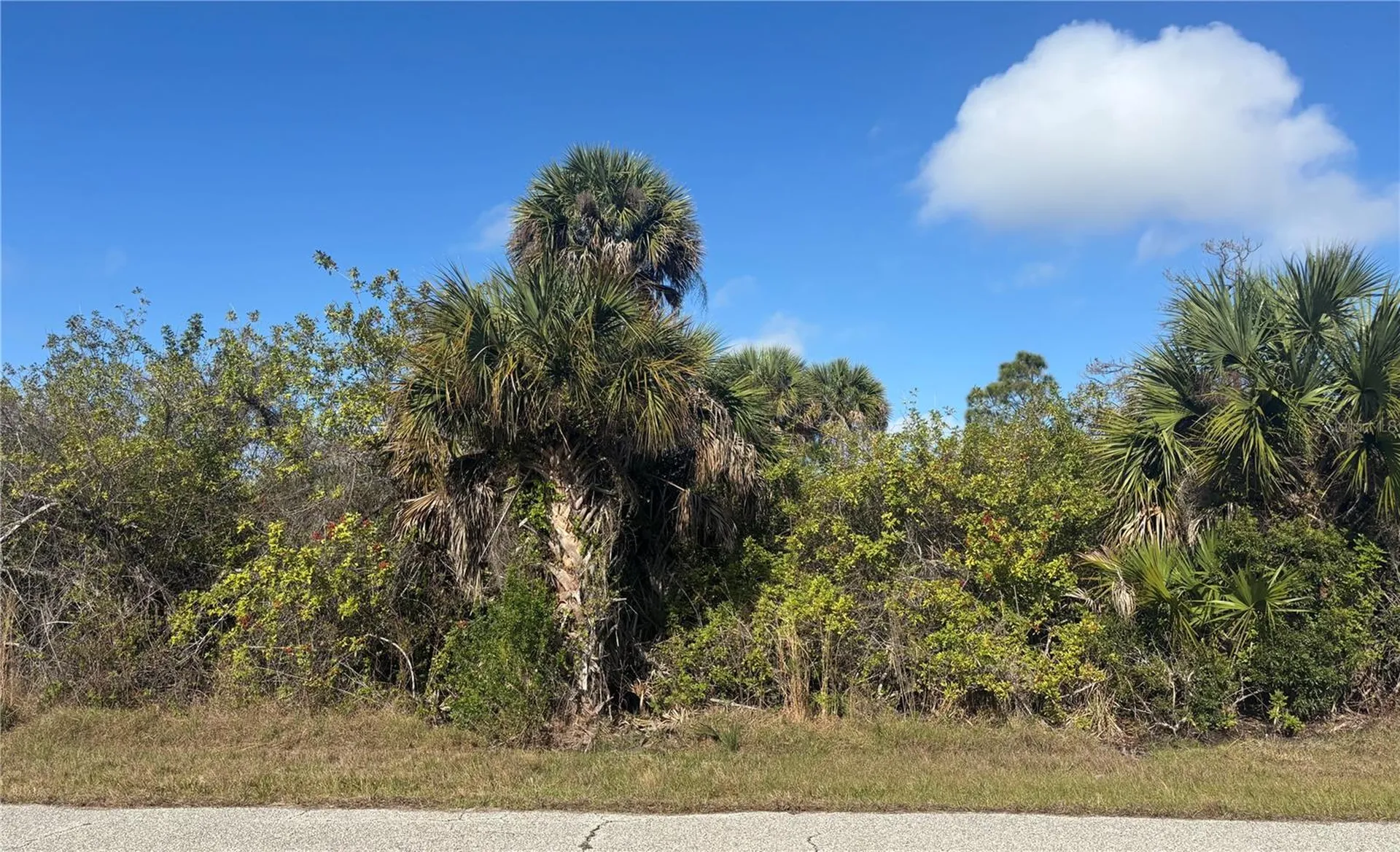 7099 Embry Street Port Charlotte FL 33981