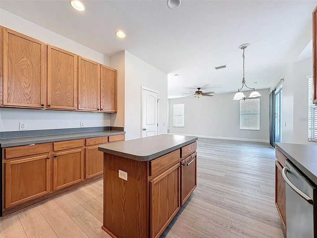 3311 Sisal Loop Wesley Chapel FL 33544