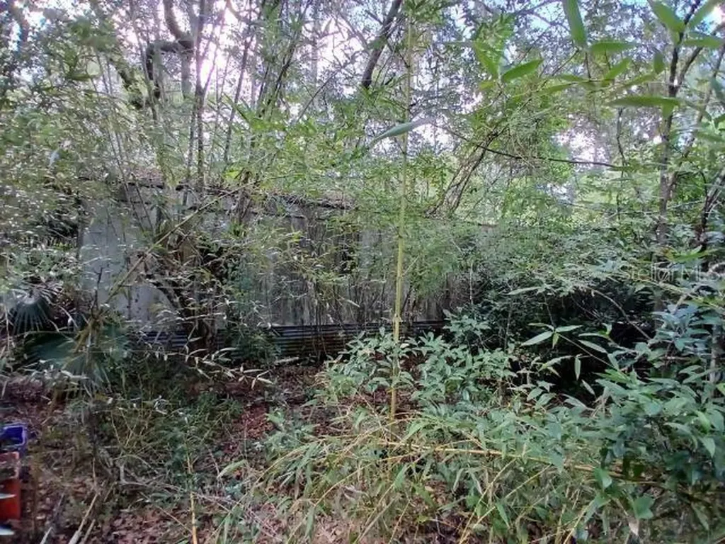 6104 NW 268th Terrace Newberry FL 32669