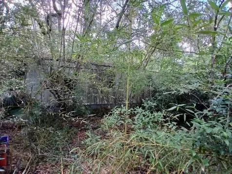 6104 NW 268th Terrace Newberry FL 32669