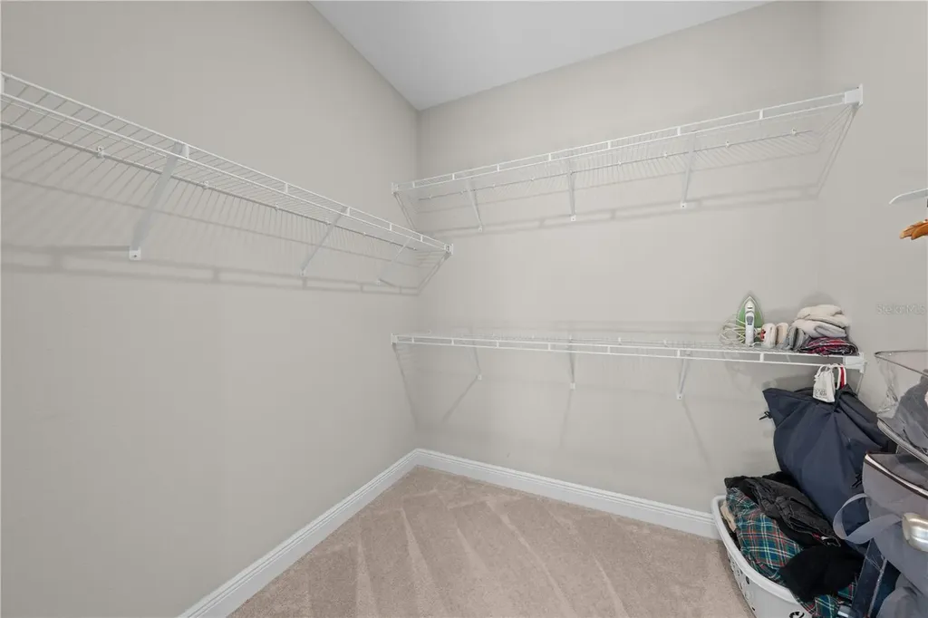 31041 Jazz Leaf Place San Antonio FL 33576