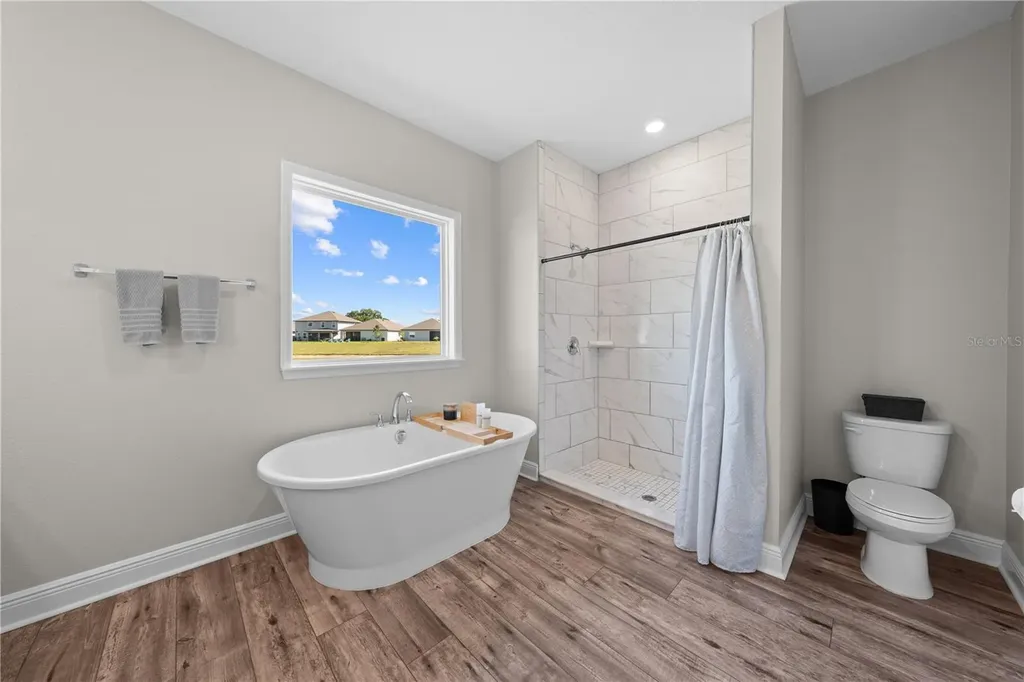 31041 Jazz Leaf Place San Antonio FL 33576