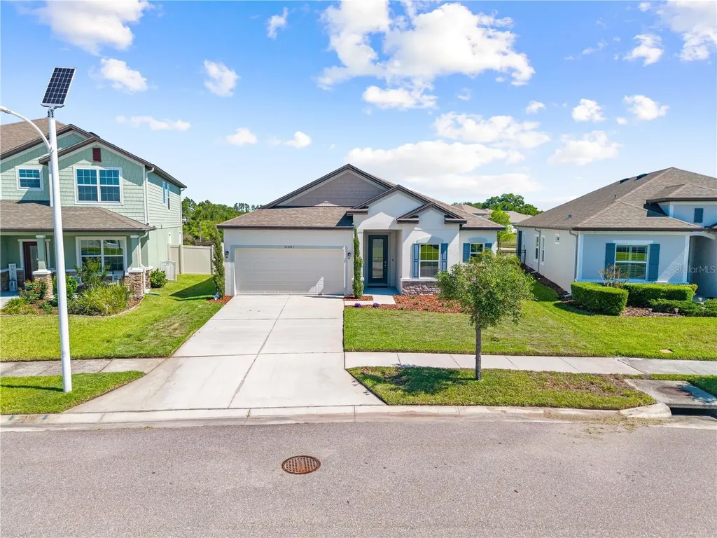 31041 Jazz Leaf Place San Antonio FL 33576