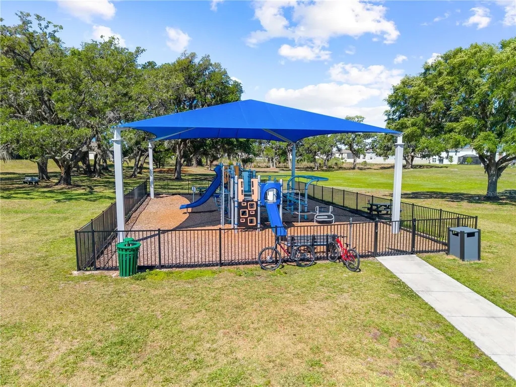 31041 Jazz Leaf Place San Antonio FL 33576