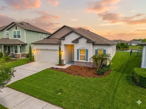 31041 Jazz Leaf Place San Antonio FL 33576