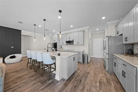 31041 Jazz Leaf Place San Antonio FL 33576