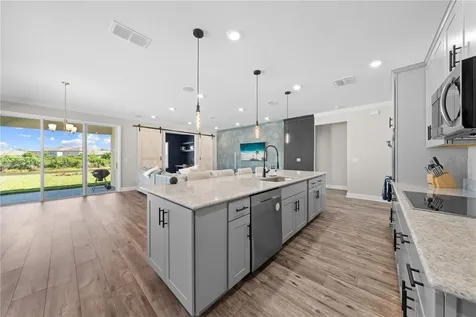 31041 Jazz Leaf Place San Antonio FL 33576