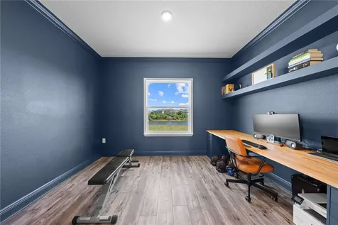 31041 Jazz Leaf Place San Antonio FL 33576