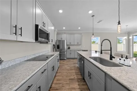 31041 Jazz Leaf Place San Antonio FL 33576