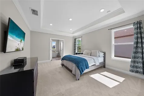 31041 Jazz Leaf Place San Antonio FL 33576
