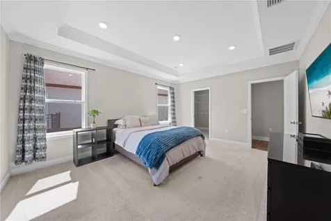 31041 Jazz Leaf Place San Antonio FL 33576
