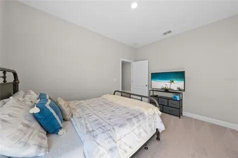 31041 Jazz Leaf Place San Antonio FL 33576