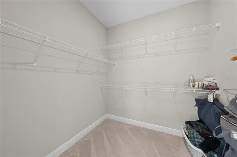 31041 Jazz Leaf Place San Antonio FL 33576