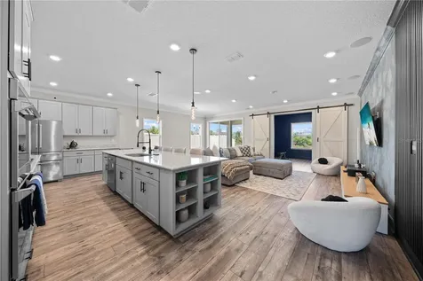 31041 Jazz Leaf Place San Antonio FL 33576