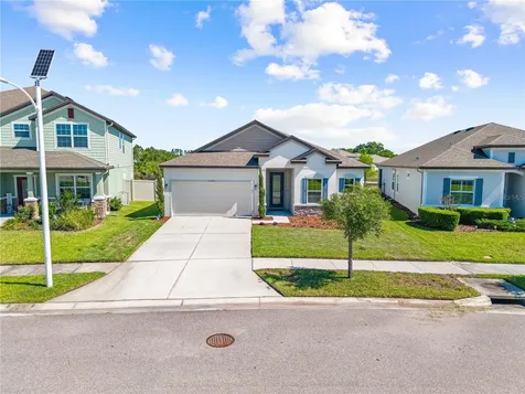 31041 Jazz Leaf Place San Antonio FL 33576
