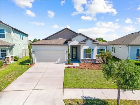 31041 Jazz Leaf Place San Antonio FL 33576