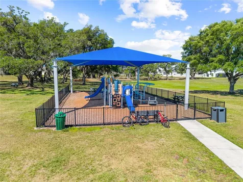 31041 Jazz Leaf Place San Antonio FL 33576