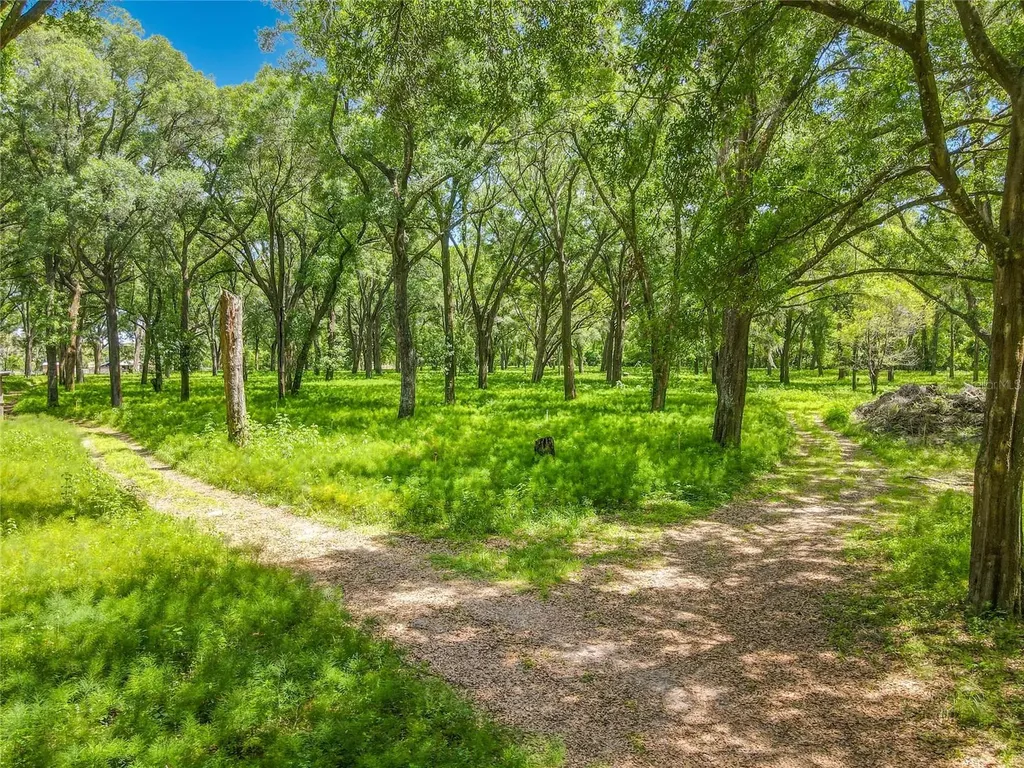 164 Denver Road Crescent City FL 32112