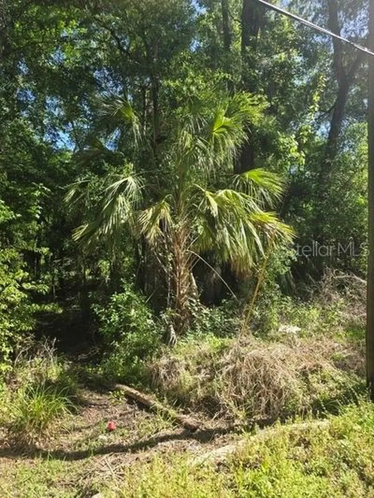 0 Fort Dade Avenue Brooksville FL 34601