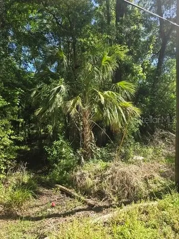 0 Fort Dade Avenue Brooksville FL 34601