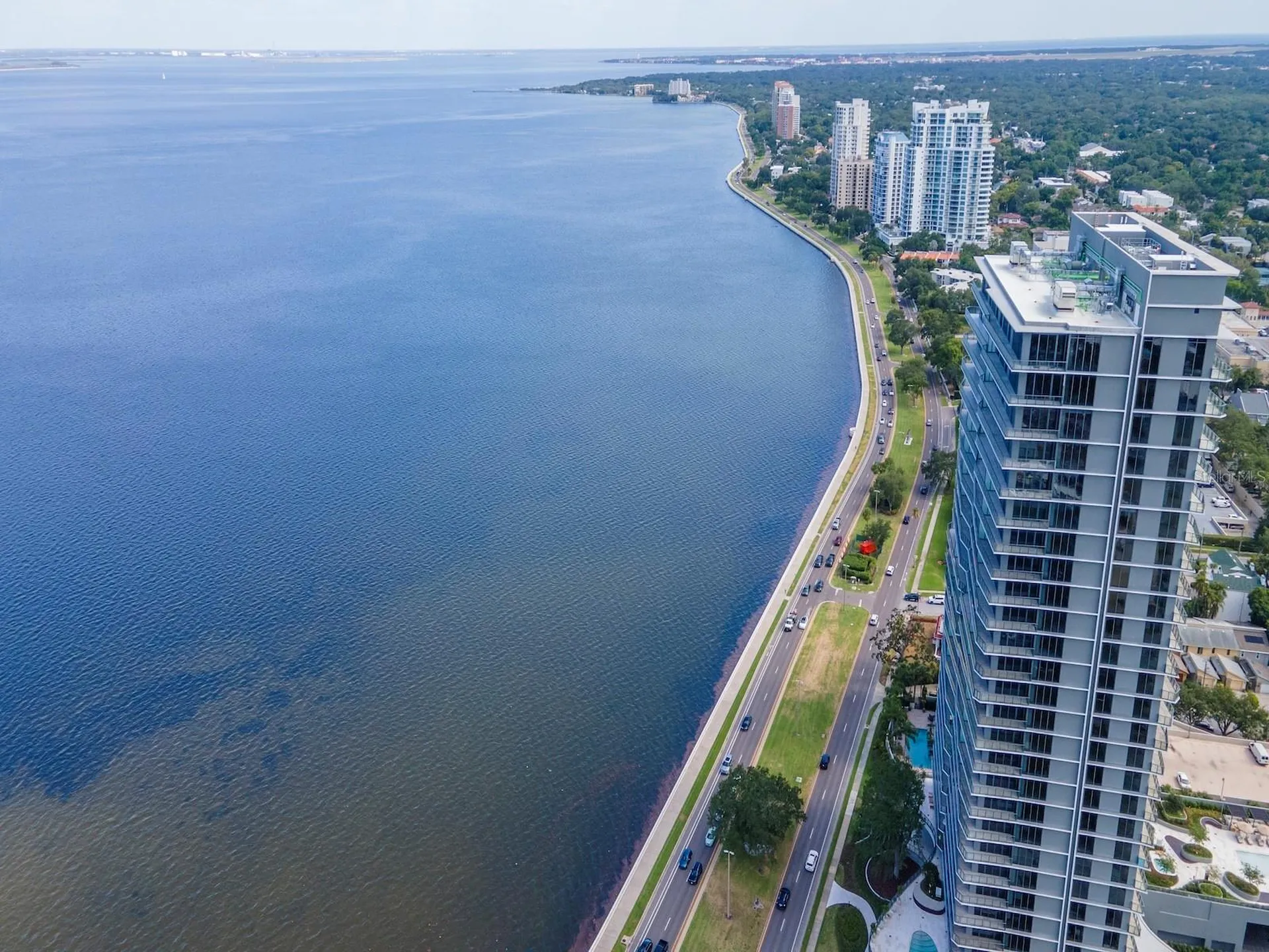 3101 Bayshore Boulevard Tampa FL 33629