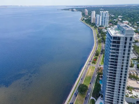 3101 Bayshore Boulevard Tampa FL 33629