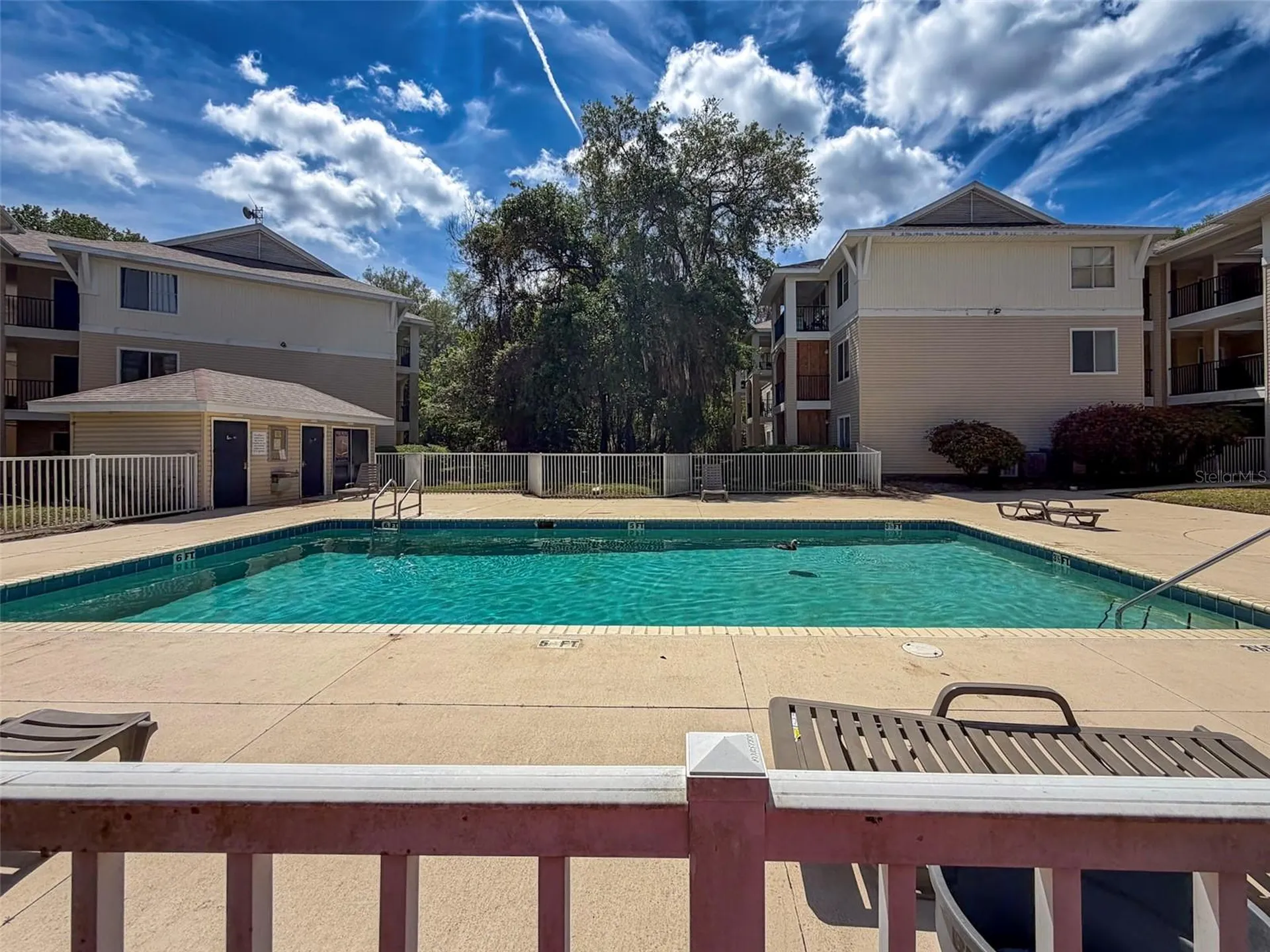 3921 SW 34th Street Gainesville FL 32608