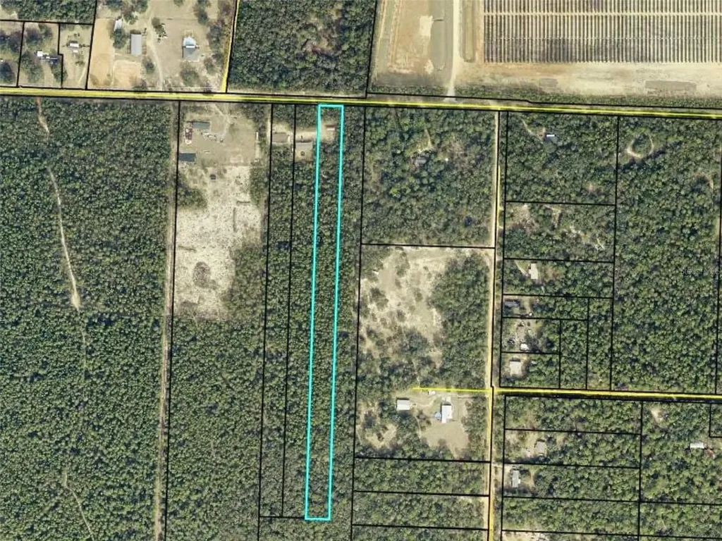 Trawick Creek Road Holt FL 32564