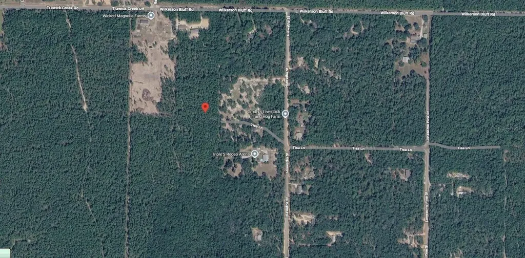 Trawick Creek Road Holt FL 32564