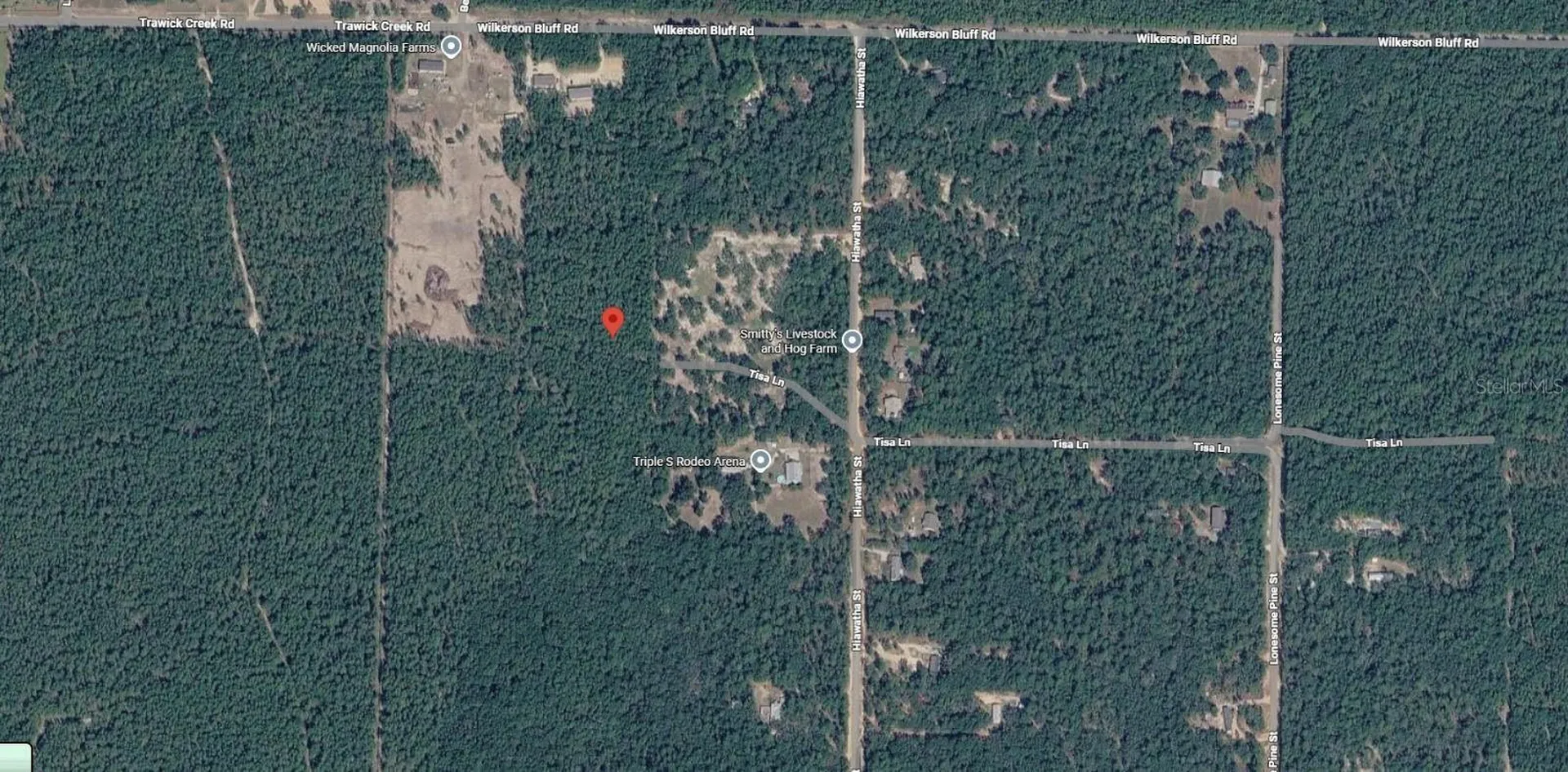Trawick Creek Road Holt FL 32564