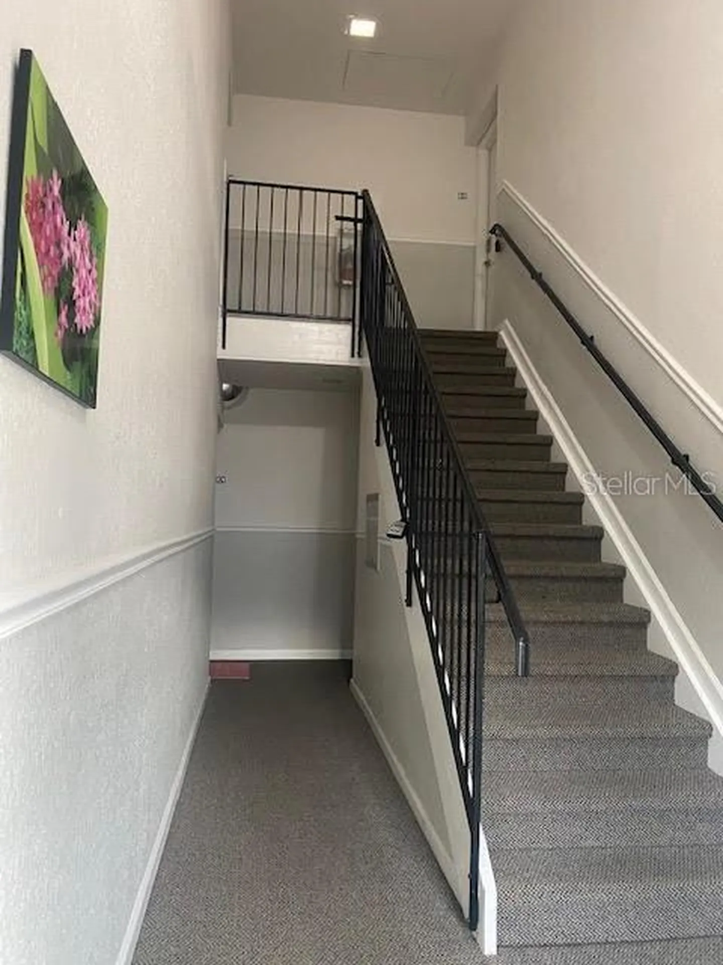 136 Pompano Drive SE St Petersburg FL 33705