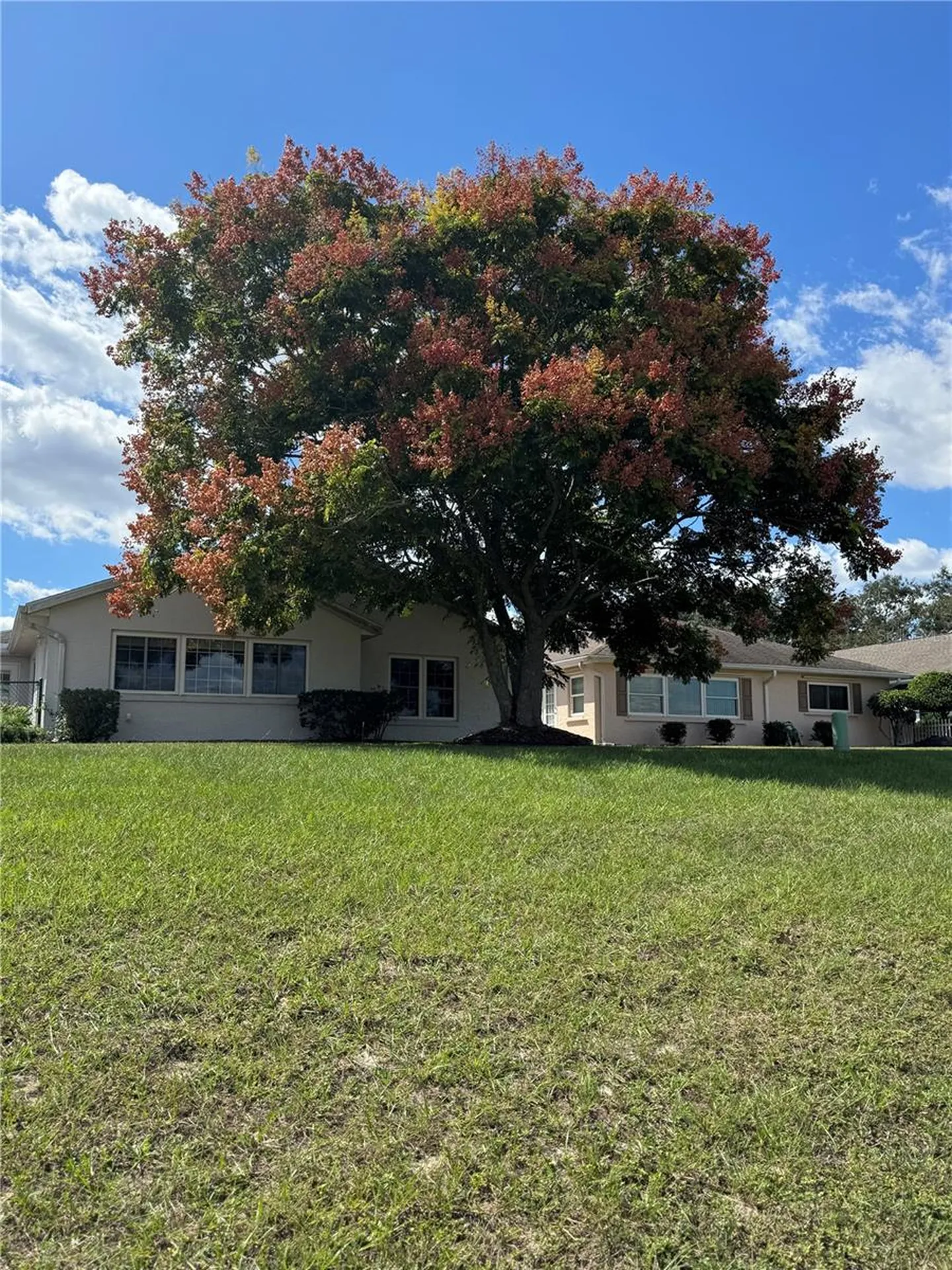 9185 SW 90th Street Ocala FL 34481