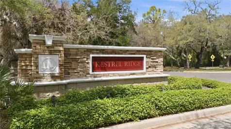 15108 Kestrelglen Way Lithia FL 33547