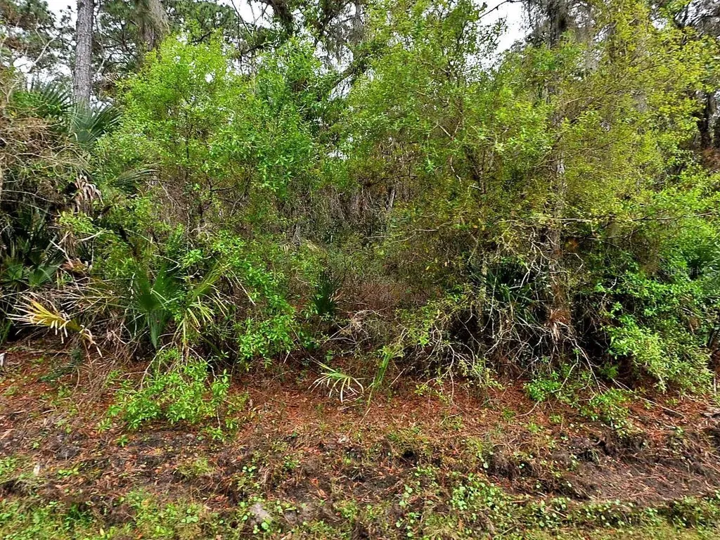 Hurdle Road North Port FL 34291