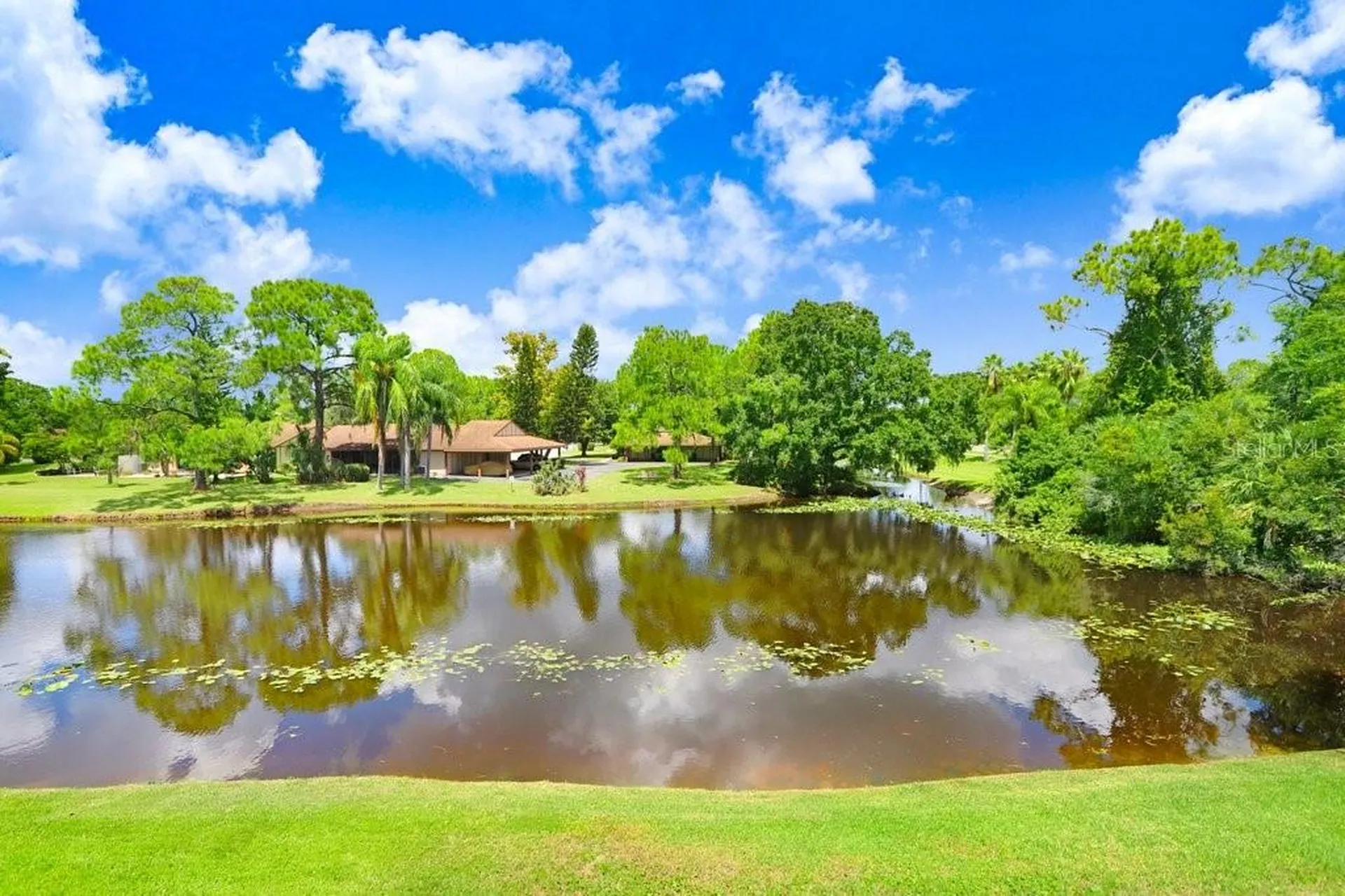 137 Hunter Lake Drive Oldsmar FL 34677