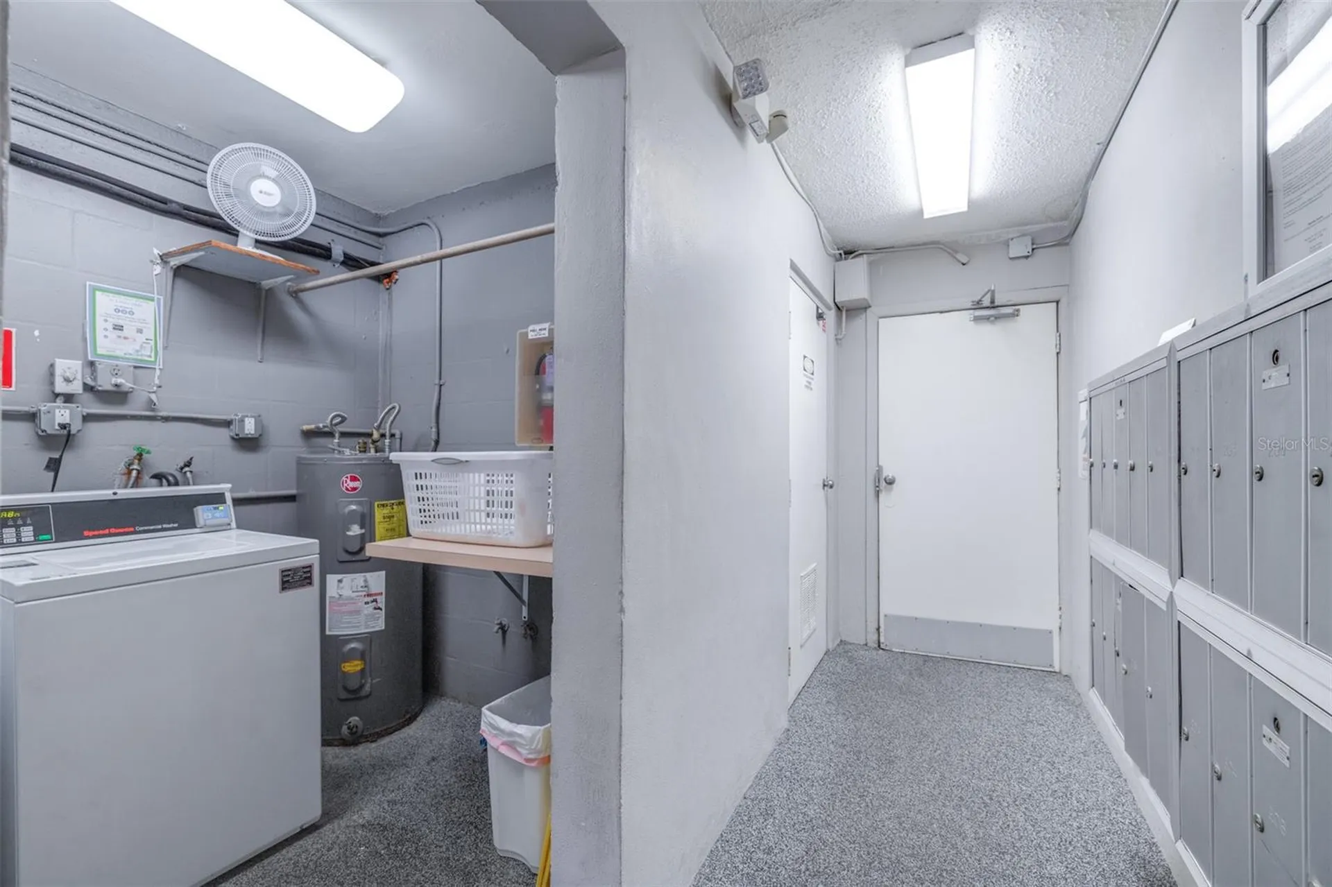 4606 W Gray Street Tampa FL 33609