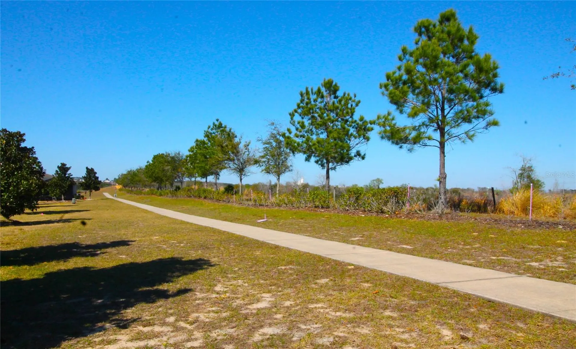 3752 Quaint Lane Clermont FL 34711