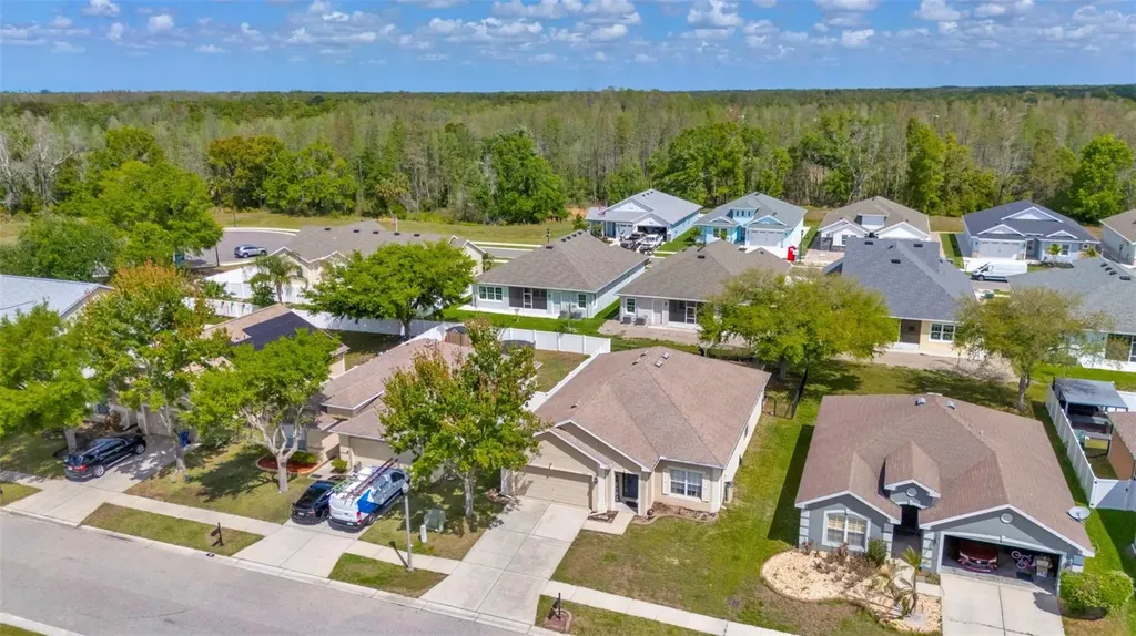 6245 Desert Peace Avenue Land O Lakes FL 34639