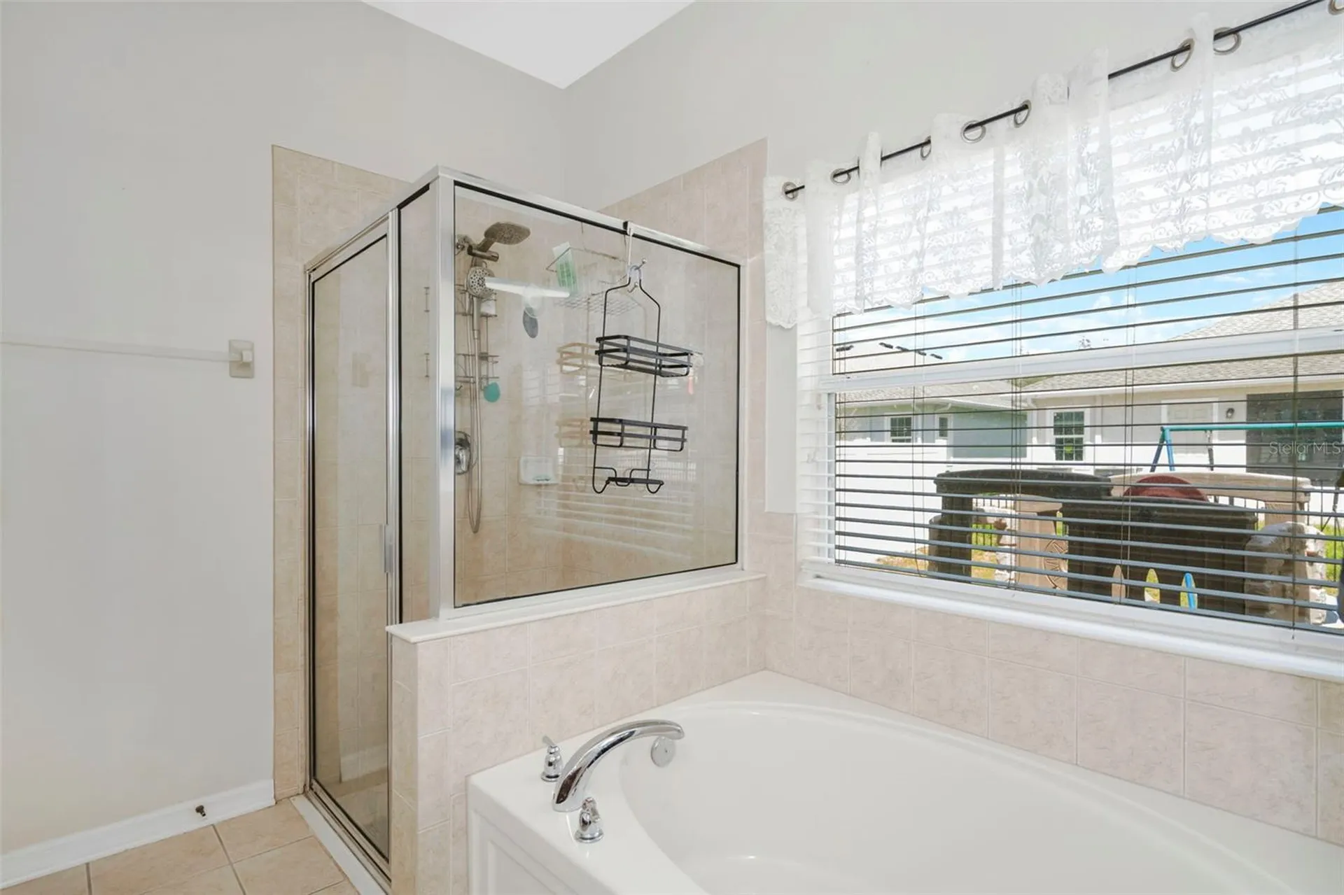 6245 Desert Peace Avenue Land O Lakes FL 34639