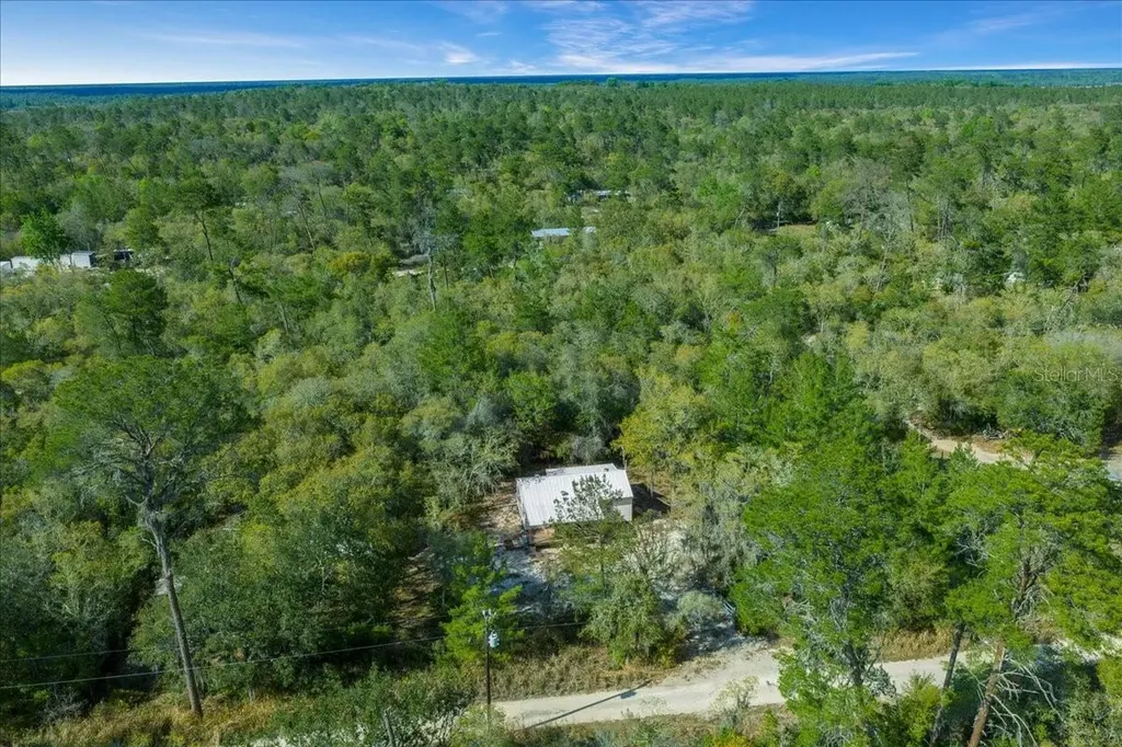 15605 NE 236th Street Fort Mc Coy FL 32134