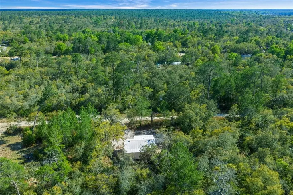 15605 NE 236th Street Fort Mc Coy FL 32134