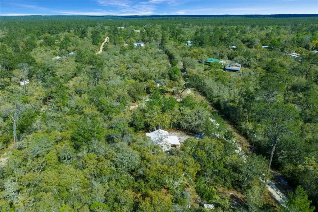 15605 NE 236th Street Fort Mc Coy FL 32134