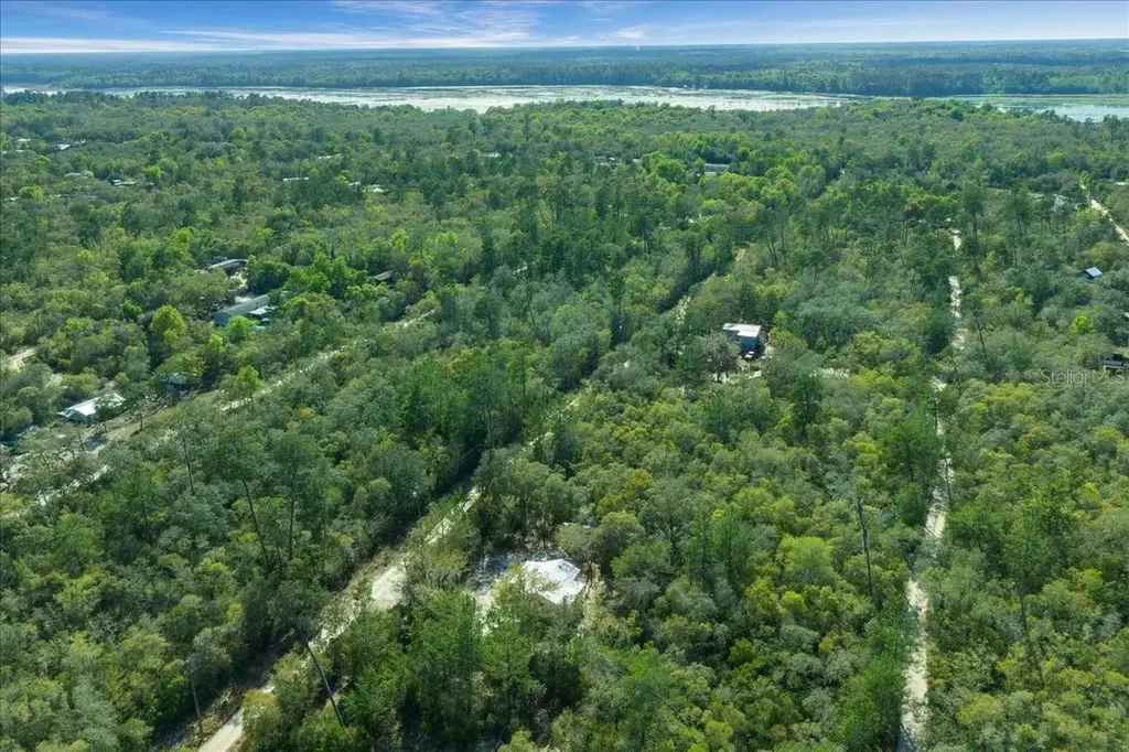 15605 NE 236th Street Fort Mc Coy FL 32134